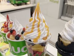 -Salud撒露欧洲冻酸奶(蓝色港湾店)