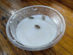 酸奶-清真新疆叶尔羌烤肉店(新香洲店)