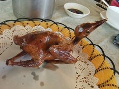 -百利鸽王(紫薇路店)