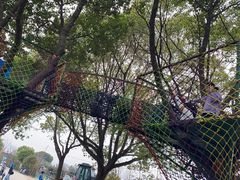 -苏州太湖西山岛开心农场