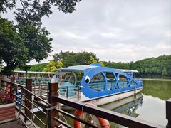 -大湾区中央湿地公园
