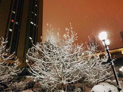 -棋盘山冰雪大世界