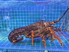 -启东小海鲜(庄先湾路1号店)