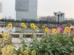 -二沙岛艺术公园