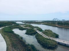 -春花秋色城市公园