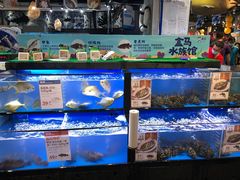 水产区-盒马鲜生(皇庭广场店)