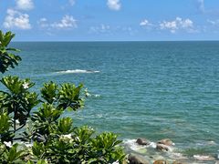 -广东惠东海龟国家级自然保护区