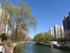 -丹江渔村(望京店)