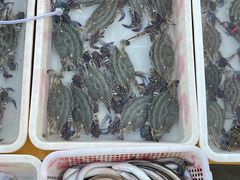-青岛沙子口国家中心渔港