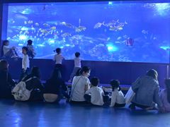 -重庆欢乐海底世界