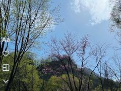 -鸡冠洞风景区