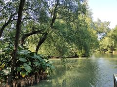 -大湾区中央湿地公园