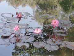 -云溪植物园