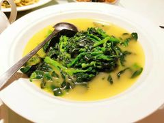 黄汤菜尖-金鼎轩(亚运村店)