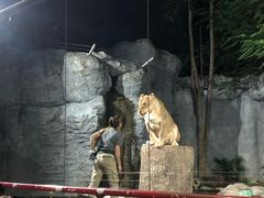 -清迈夜间动物园