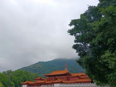 -深圳仙湖植物园