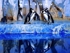 -太平洋海底世界