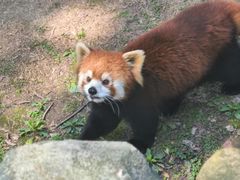 -上海野生动物园