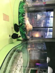 点击看大图 -七巧国萌宠乐园(龙湖天街店)