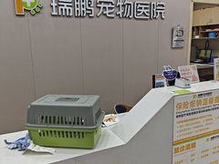 -瑞鹏宠物医院·骨外科·心肾科·肿瘤科(九亭店)
