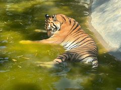 -昆明动物园