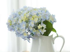 -泉乐坊步行街(烟酒特产平价超市店)