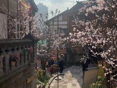 -重庆十八梯传统风貌区