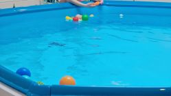 -海豹航航水育游泳中心(芳园里店)