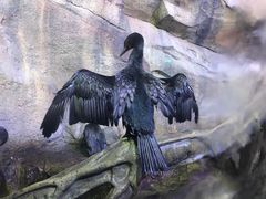 -哈尔滨波塞冬海底世界
