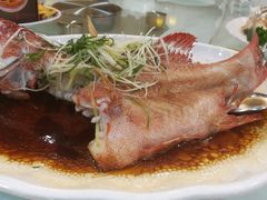 -东江海鲜酒家(艺都分店)
