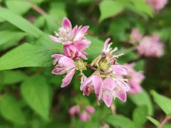 -共青国家森林公园-南大门停车场