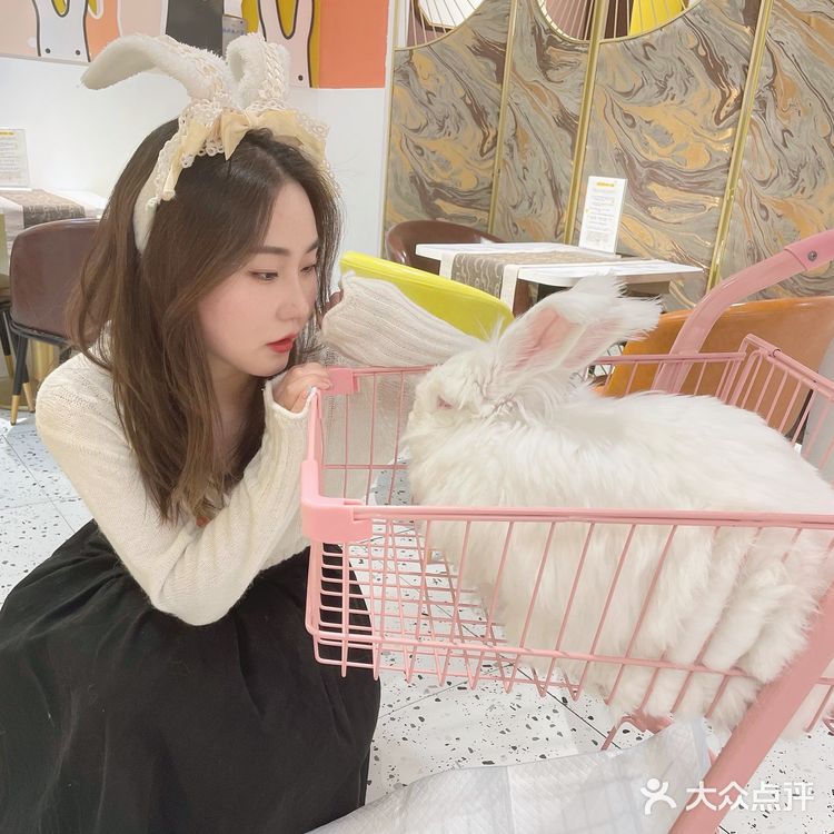 🐰：你们拍吧，不用管我