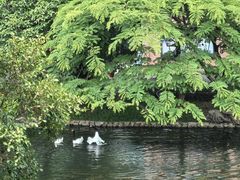 -广州海洋馆