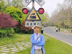 -江苏三台山国家森林公园