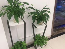 -香秀空间科技抗衰·美容中心