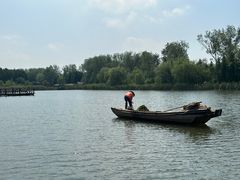 -溱湖国家湿地公园