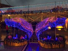 -横店影视城梦幻谷园区