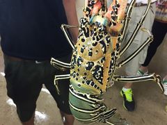 -班赞海鲜市场