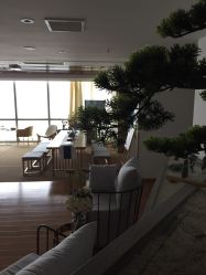 -松和日式美容整骨