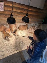 -Zoolung Zoolung动物主题公园(海信广场店)