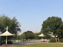 -新江湾城公园
