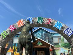 -北京鹿世界主题园