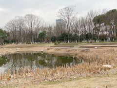 -后襄河公园