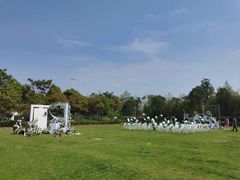 -杭州湾海上花田景区