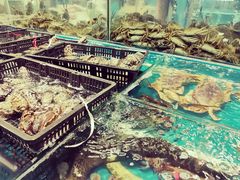 -渔人湾码头海鲜市场负二楼