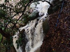 -火炉山森林公园