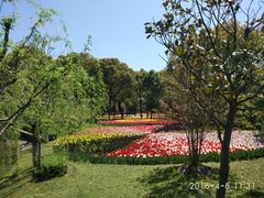 -上海鲜花港