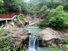 -广州白江湖森林公园