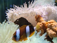 -太平洋海底世界