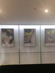 -崇尚GAVIN STYLE臻选